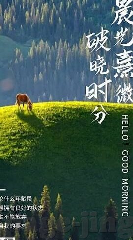 伦理片先锋影音-伦理片，先锋影音的深度探索