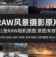 麻豆传媒app免费-城市夜语，解锁麻豆传媒APP免费体验的注意事项