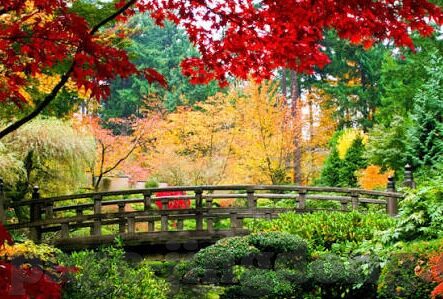 麻豆传媒映画app下载-麻豆传媒映画App，移动娱乐的全新时代