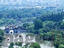 麻豆视频播放-以麻豆视频解析，欣赏内容的艺术与边界为题，下面是一篇关于网络内容欣赏的探讨