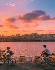 糖心vlog官网i-探秘糖心Vlog——解锁线上生活美学的独特视角