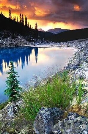 糖心vlog女主角有哪些-那些年，糖心vlog女主角的闪耀时刻