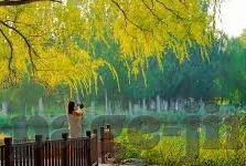 亚洲人妻综合-亚洲人妻文化的多元视角与文化交融