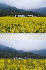 在线香蕉一区二区三区-探索网络世界的多元化与信息甄别，在线平台的功能与责任